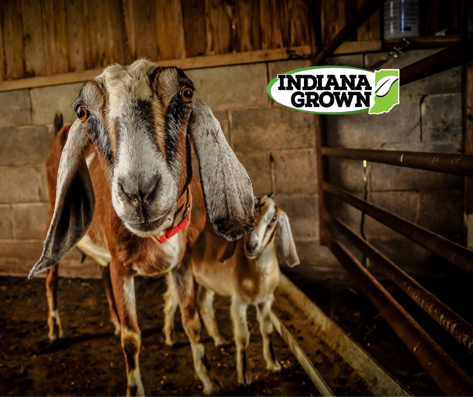 Goat Milk Lotion – Bass Farms, LLC
