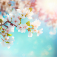 Load image into Gallery viewer, Springtime Bubble Bath