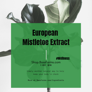 European Mistletoe Extract