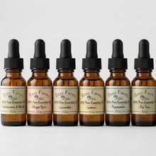 Load image into Gallery viewer, Two shelves of amber glass dropper bottles with black caps and cream labels from Moss Farm, including essential oils and wellness oil bottles, displayed in a clear case.
