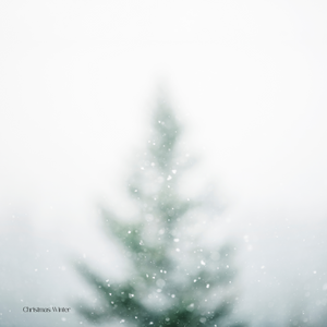 Winter Holiday Shampoo & Conditioner