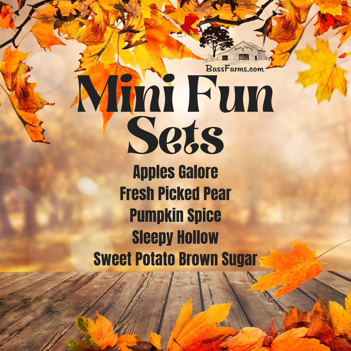 Fall Mini Fun Sets