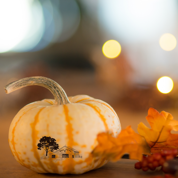 Fall Liquid Hand Soap