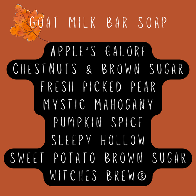 Fall Goat Milk Bar Soap
