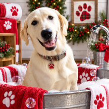 Load image into Gallery viewer, Pet Shampoo
