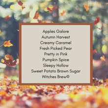 Load image into Gallery viewer, Fall Mini Fun Sets
