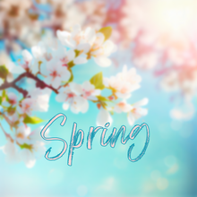 Load image into Gallery viewer, Springtime Sugar Scrub
