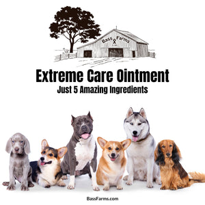 Extreme Care Ointment