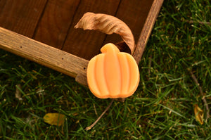 Pumpkin Soap