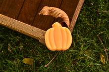 Load image into Gallery viewer, Pumpkin Soap
